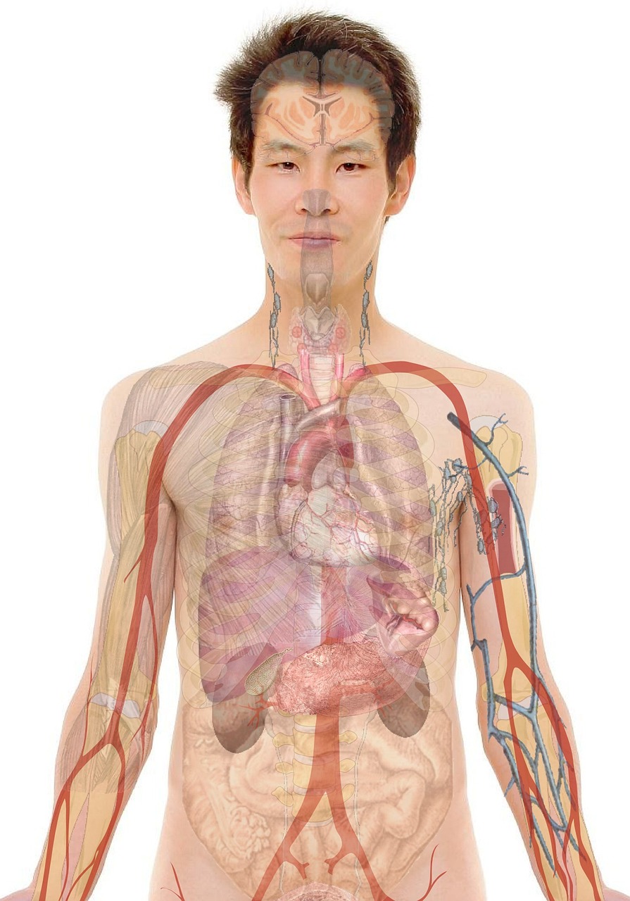 老年看護に興味がある人が転職できる方法は？