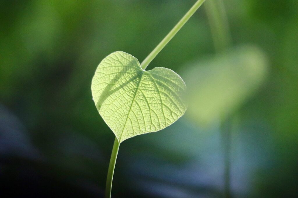 療養型病棟での快適な休憩環境とは？