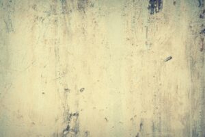 高齢者看護の転職に必要なスキルとは？