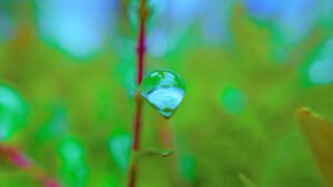 更年期によるデリケートゾーンの低下に対する効果的な対策は？