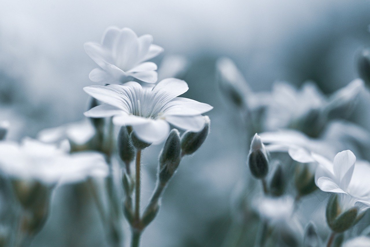 更年期の乱れをチェックするデリケートゾーンの検査方法は？