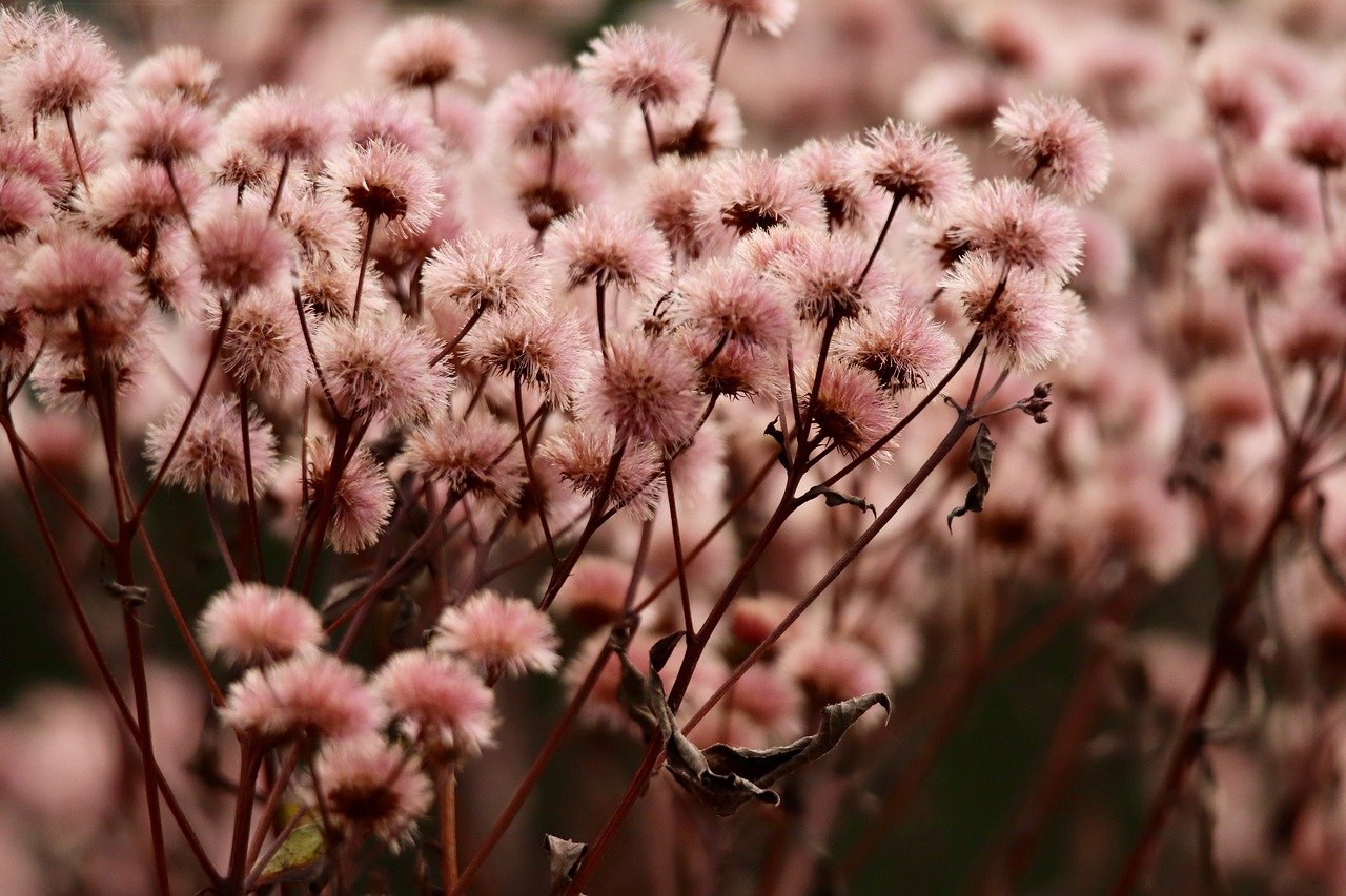 更年期におけるデリケートゾーンが強くなる原因と悪化のメカニズムは？