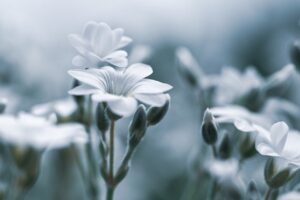 更年期の低下によるデリケートゾーンの根本改善方法は？