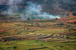 PMSによるおりものの低下の原因は何ですか？