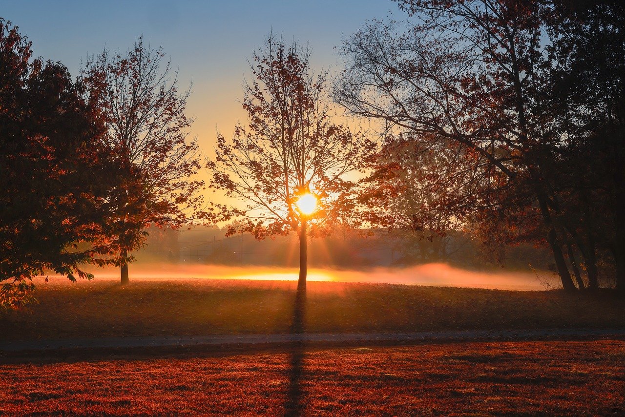 更年期におけるおりものの低下と受診の目安は？
