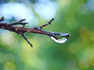 更年期の低下に伴うおりものの検査方法は？