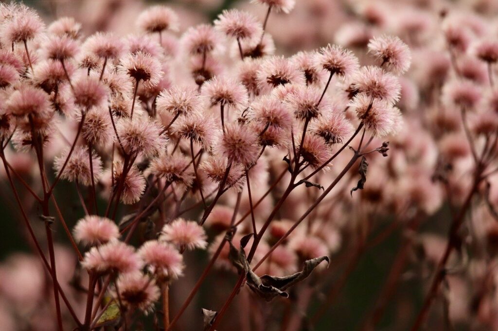 プロゲステロンが影響するデリケートゾーンの症状はいつまで続くのが原因？