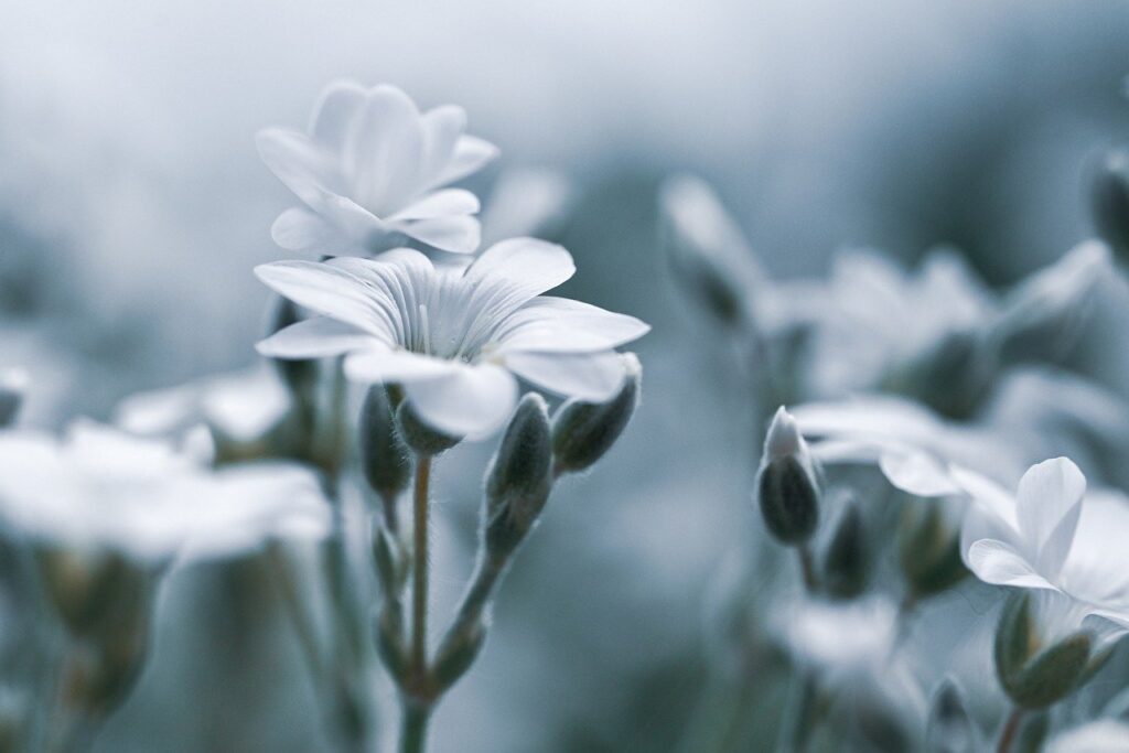 プロゲステロンの低下がデリケートゾーンの不調を引き起こす原因は？