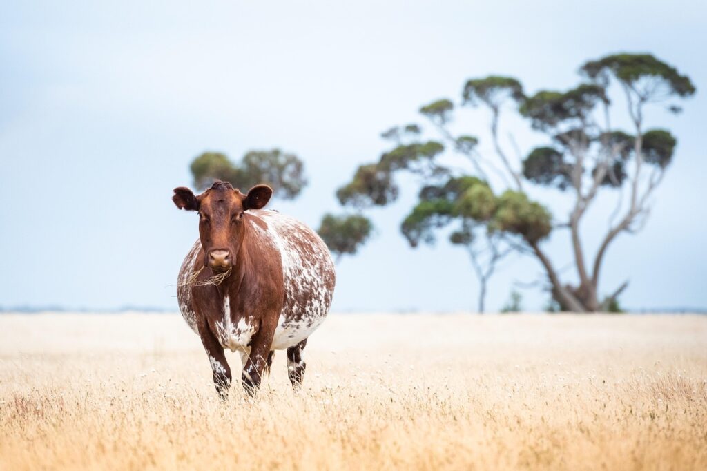 生理中にデリケートゾーンが乱れる原因とは？