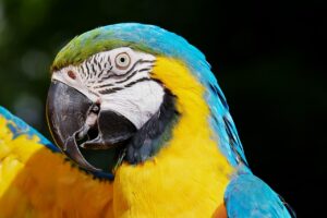妊活におけるデリケートゾーンの原因は何ですか？