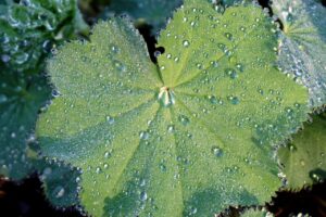 更年期の時期におりものが気になる方が知っておくべき水分補給のポイントは？