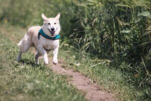 精神科への転職で知っておくべき注意点は？